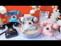 Memorie durature Libro degli ospiti del matrimonio Registrazione telefonica Messaggio Libro degli ospiti del matrimonio