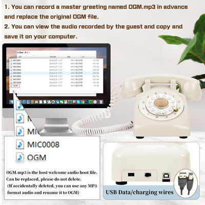 Momenti speciali Telefono USB Libro degli ospiti per il matrimonio Audio Telefono Libro degli ospiti Noleggio Bianco