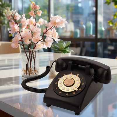 Massimizza il tuo potenziale B2B con Audio Guestbook 7x 5.7 X 6.4 pollici connessione USB
